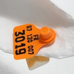 Bigoudi By Marie Talalaeff -Home Decorate Shop BigoudibyMarieTalalaeff.06