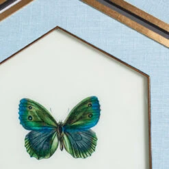 Butterfly Hexagon Art - Set Of 6 -Home Decorate Shop ButterflyHexagonArt Setof6.04