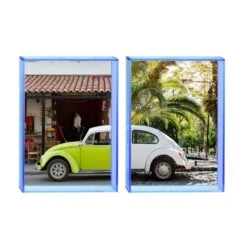 Chelona Vago By Alexandra Tremaine -Home Decorate Shop CHELONA VAGO BL 24x36 1