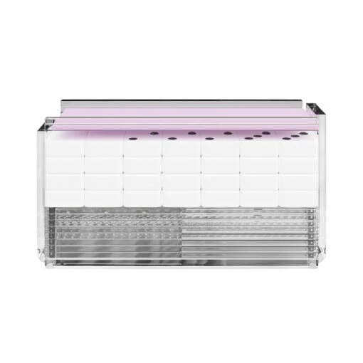 Domino Set - Lavender