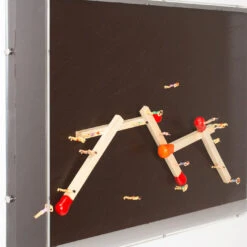 Flash Burn -Home Decorate Shop FlashBurn.04