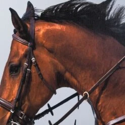 Framed Leaping Equestrian Artwork On Silk Cloth Left - Grey -Home Decorate Shop FramedLeapingEquestrianArtworkonSilkClothLeft Grey.02