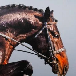 Framed Leaping Equestrian Artwork On Silk Cloth Right - Grey -Home Decorate Shop FramedLeapingEquestrianArtworkonSilkClothRight Grey.03