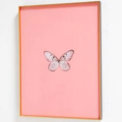 Framed Butterfly Print In Blush 7 Framed Butterfly Print In Blush -Home Decorate Shop Framed 20Butterfly 20Print 20In 20Blush.03