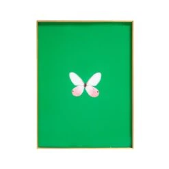 Framed Butterfly Print In Verdant Green