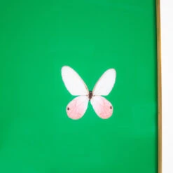Framed Butterfly Print In Verdant Green -Home Decorate Shop Framed 20Butterfly 20Print 20In 20Green.03