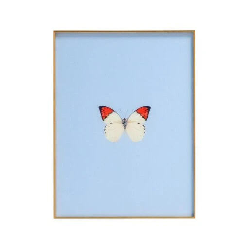 Framed Butterfly Print In Light Blue