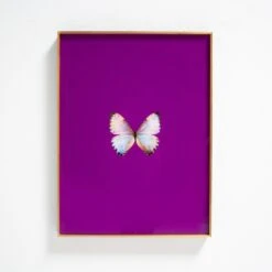 Framed Butterfly Print In Magenta -Home Decorate Shop Framed 20Butterfly 20Print 20In 20Magenta.03