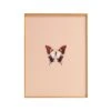 Framed Butterfly Print In Peach