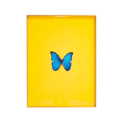 Framed Butterfly Print In Yellow