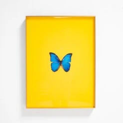Framed Butterfly Print In Yellow -Home Decorate Shop Framed 20Butterfly 20Print 20In 20Yellow.03