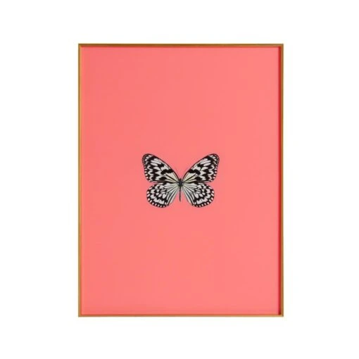 Framed Butterfly Print In Persimmon