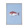 Framed Fish Print In Marine Blue