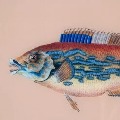 Framed Fish Print In Sand 5 Framed Fish Print In Sand -Home Decorate Shop Framed 20Fish 20Print 20in 20Sand.03