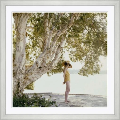 Glamour 'Model By Tree' By Forlano Sante, January 1962