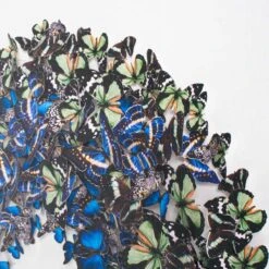 Mari Blue -Home Decorate Shop MariBlue.03