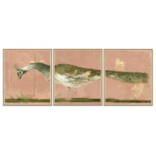 Peacock Triptych Art