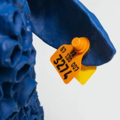 Pierre By Marie Talalaeff -Home Decorate Shop PierrebyMarieTalalaeff.06