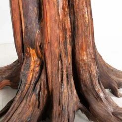 Live Edge Table 2 -Home Decorate Shop RT 32 SP22LiveEdgeTable2.06