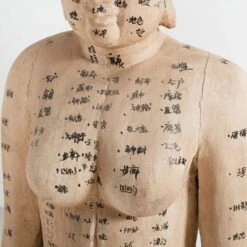 Acupuncture Figure – Woman -Home Decorate Shop RT 45 SP22AcupunctureFigure Woman.05