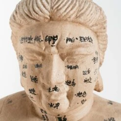 Acupuncture Figure – Woman -Home Decorate Shop RT 45 SP22AcupunctureFigure Woman.06