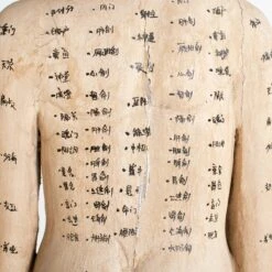 Acupuncture Figure – Woman -Home Decorate Shop RT 45 SP22AcupunctureFigure Woman.08