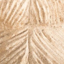 Acupuncture Figure – Woman -Home Decorate Shop RT 45 SP22AcupunctureFigure Woman.10