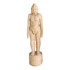 Acupuncture Figure – Man