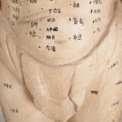 Acupuncture Figure – Man -Home Decorate Shop RT 46 SP22AcupunctureFigure Man.04