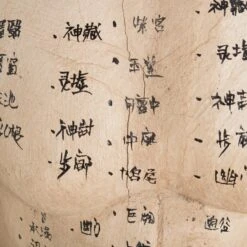 Acupuncture Figure – Man -Home Decorate Shop RT 46 SP22AcupunctureFigure Man.05