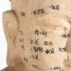 Acupuncture Figure – Man -Home Decorate Shop RT 46 SP22AcupunctureFigure Man.08