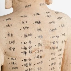 Acupuncture Figure – Man -Home Decorate Shop RT 46 SP22AcupunctureFigure Man.10