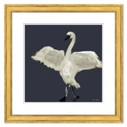 Swan Lilt
