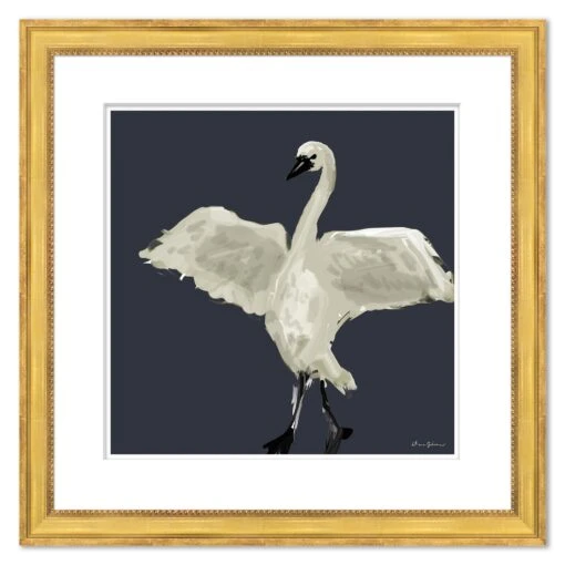Swan Lilt